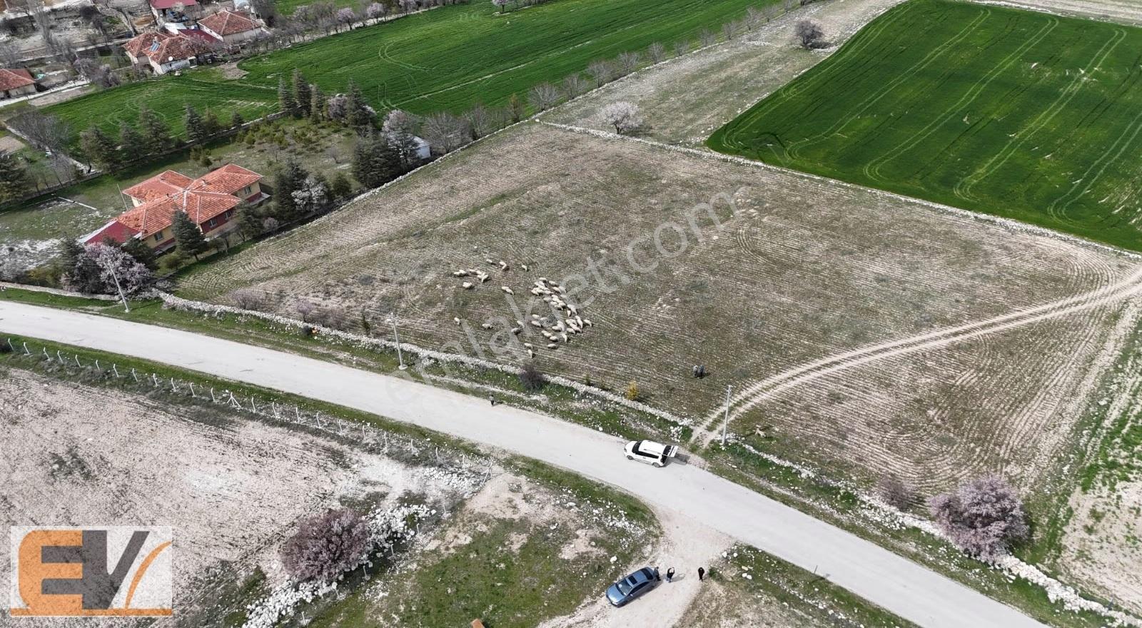 Afyon Sandıklı 1290 M2 Asfalt Yola Cephe Köyiçi İmarlı Arsa