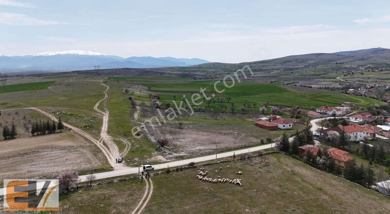 Afyon Sandıklı 1290 M2 Asfalt Yola Cephe Köyiçi İmarlı Arsa - Görsel 4