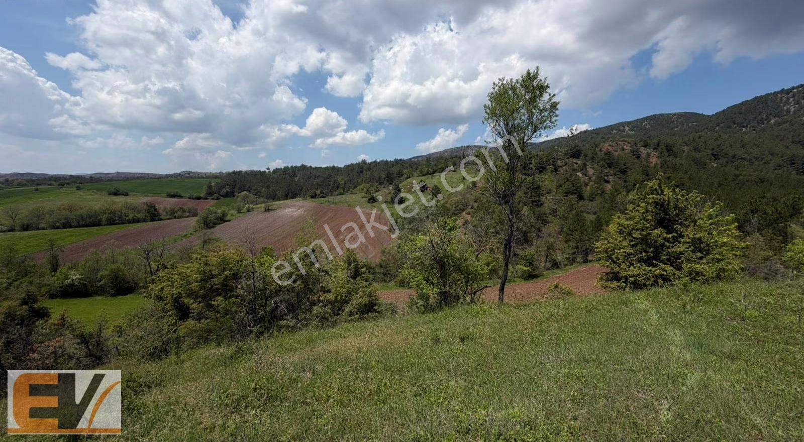 Bilecik Gölpazarında 5.200 M2 Satılık Parsel - Görsel 3