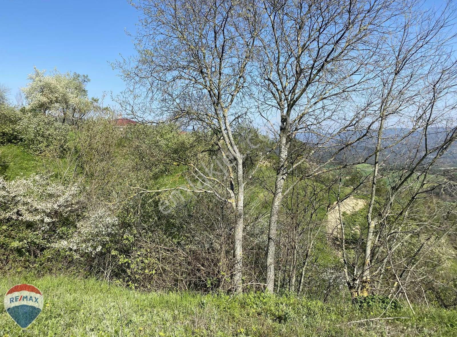 Remax Maviden Taraklı Hacıyakup Ta Yatırıma Uygun İmarlı Arsa - Görsel 13