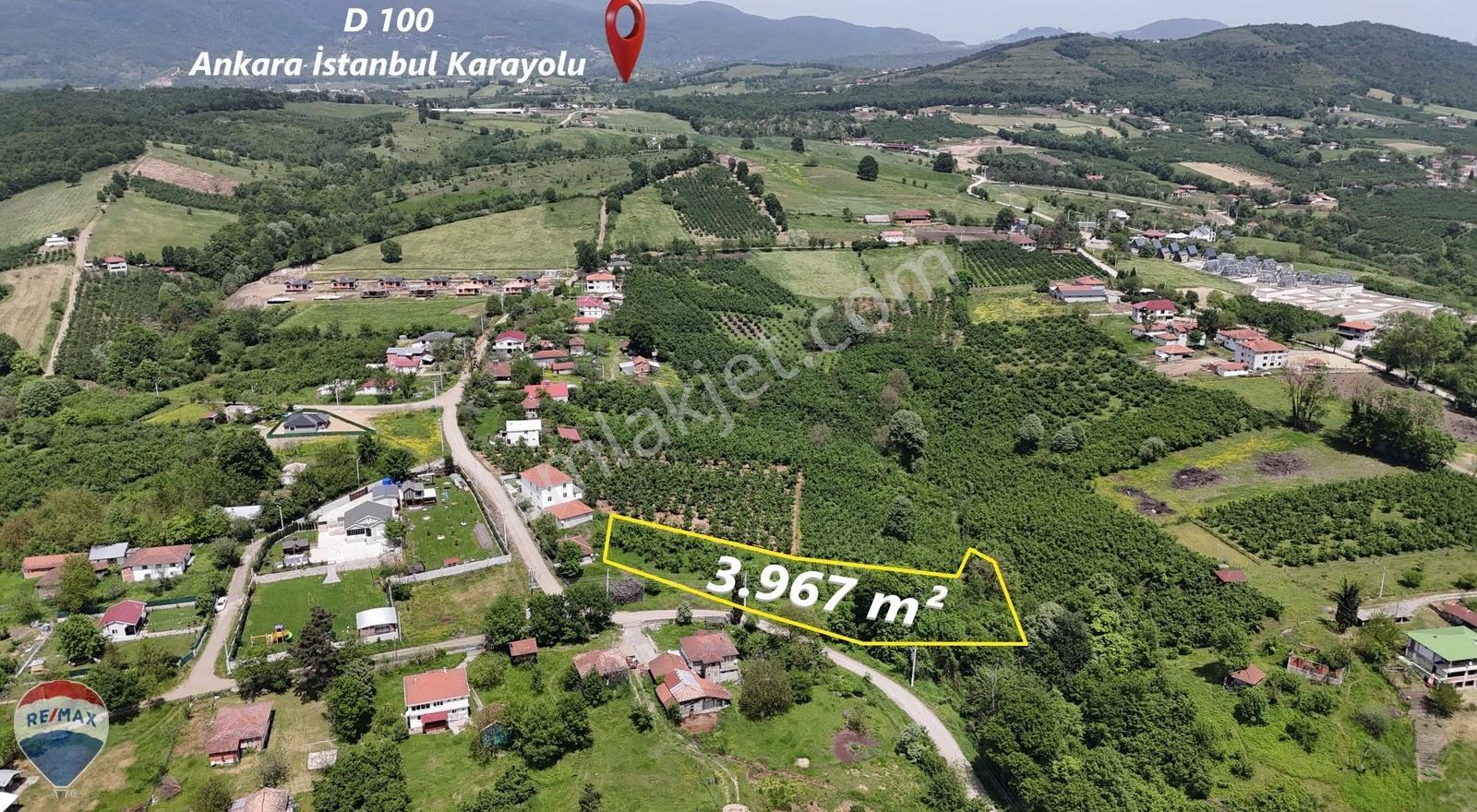 Remax Maviden Yeşilvadide Müstakil Ev Ve 3960 M2 İmarlı Arsası - Görsel 5