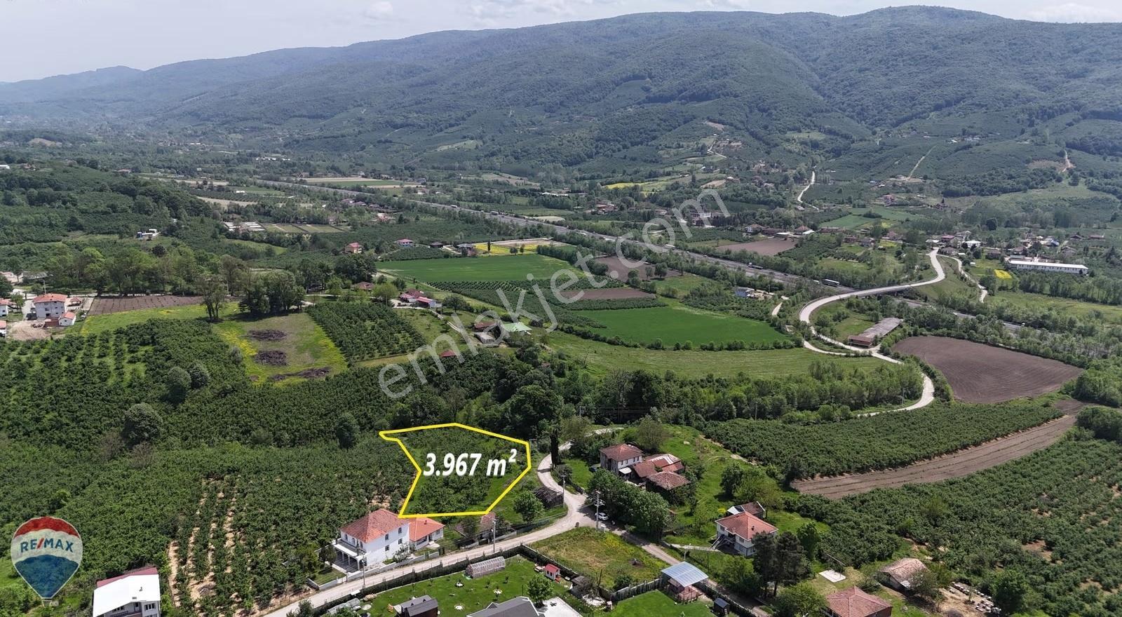 Remax Maviden Yeşilvadide Müstakil Ev Ve 3960 M2 İmarlı Arsası - Görsel 2