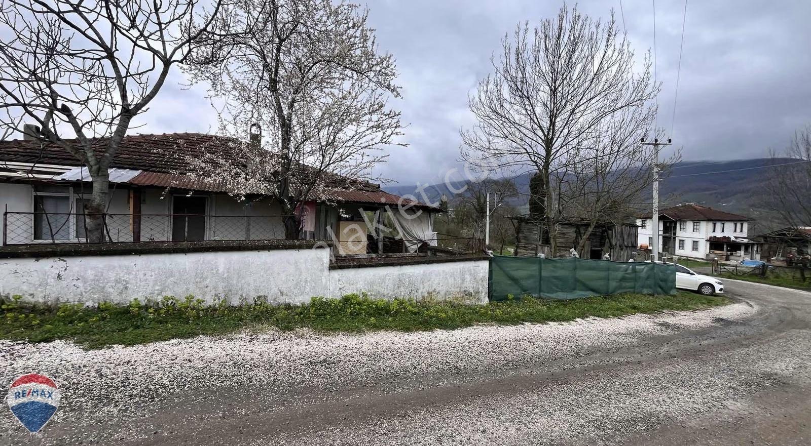 Remax Maviden Yeşilvadide Müstakil Ev Ve 3960 M2 İmarlı Arsası - Görsel 9