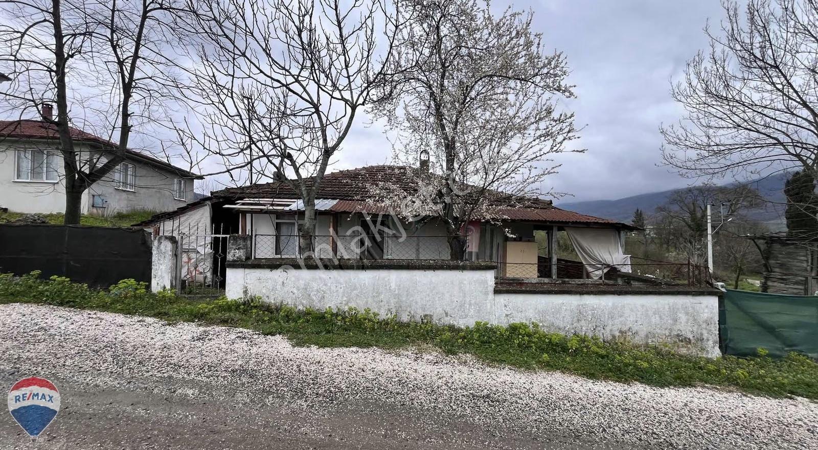 Remax Maviden Yeşilvadide Müstakil Ev Ve 3960 M2 İmarlı Arsası - Görsel 16