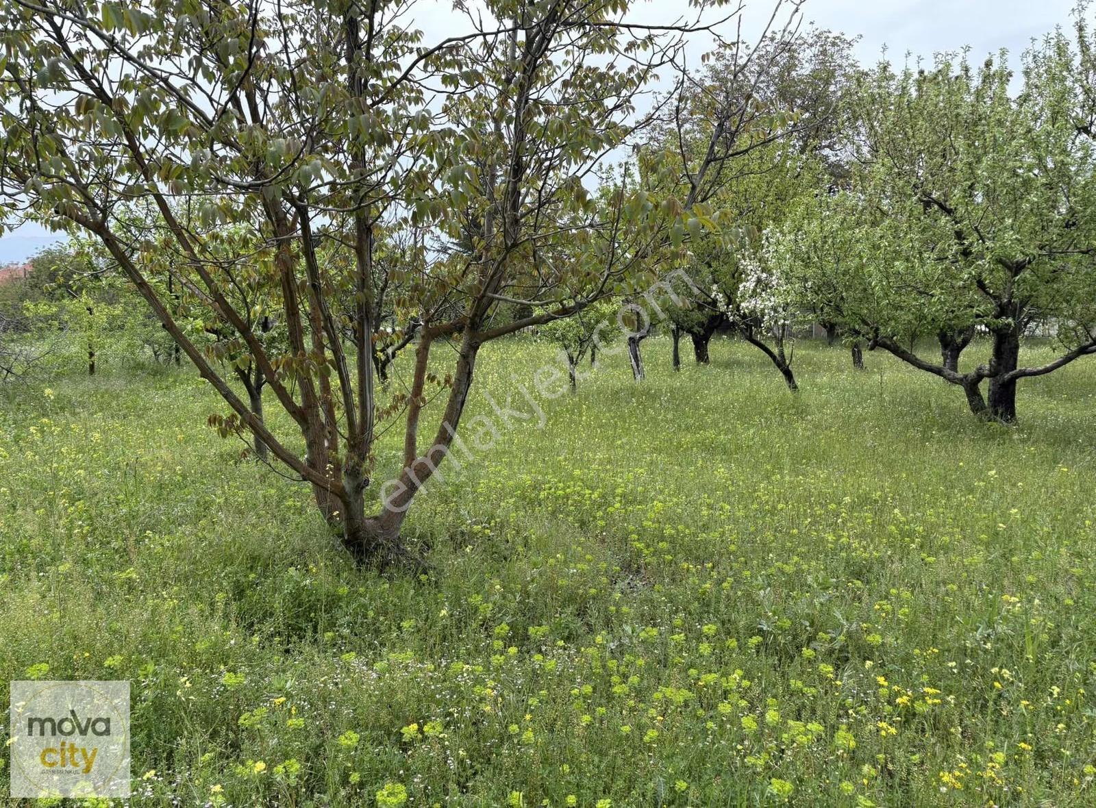 Ilıca Bağlarında Çevre Yolu Altında Satılık Villa Arsası - Görsel 7