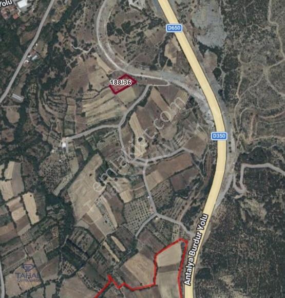 Burdur Çeltikçi Tekke Köyün'de Satılık 2407 M2 Kupon Tarla - Görsel 2