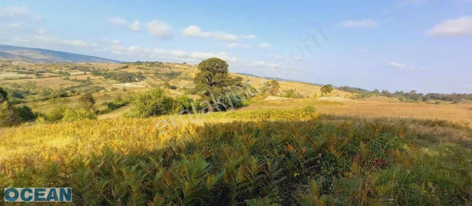 Kandıra Selametli 'de Manzaralı Satılık Tarla - Görsel 8