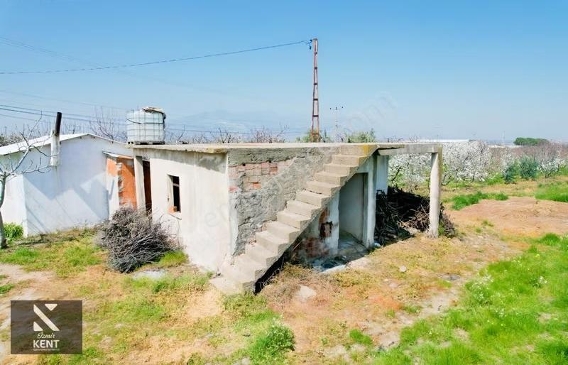 Kemalpaşa Ören 75. Yıl Satılık 8770 M2 Tek Tapu Tarla - Görsel 27