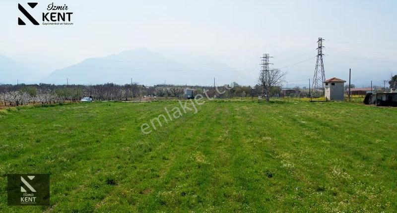 Kemalpaşa Ören 75. Yıl Satılık 8770 M2 Tek Tapu Tarla - Görsel 33