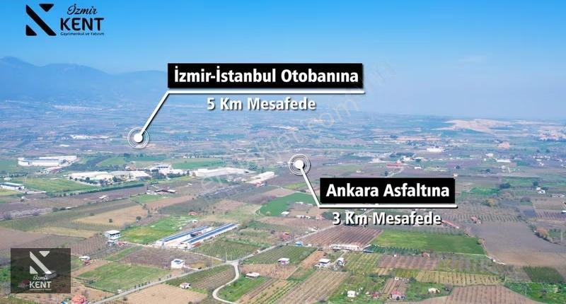 Kemalpaşa Ören 75. Yıl Satılık 8770 M2 Tek Tapu Tarla - Görsel 6