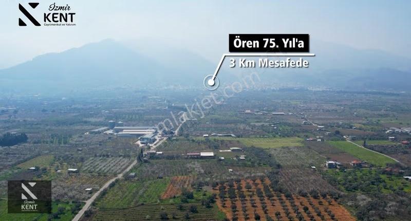 Kemalpaşa Ören 75. Yıl Satılık 8770 M2 Tek Tapu Tarla - Görsel 23
