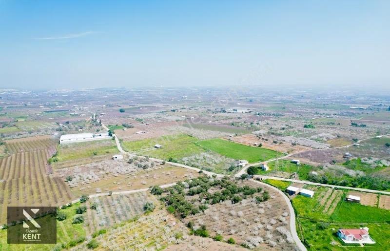 Kemalpaşa Ören 75. Yıl Satılık 8770 M2 Tek Tapu Tarla - Görsel 30