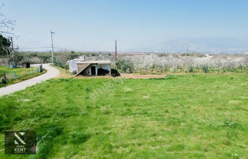 Kemalpaşa Ören 75. Yıl Satılık 8770 M2 Tek Tapu Tarla - Görsel 19