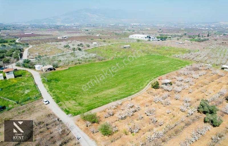 Kemalpaşa Ören 75. Yıl Satılık 8770 M2 Tek Tapu Tarla - Görsel 7
