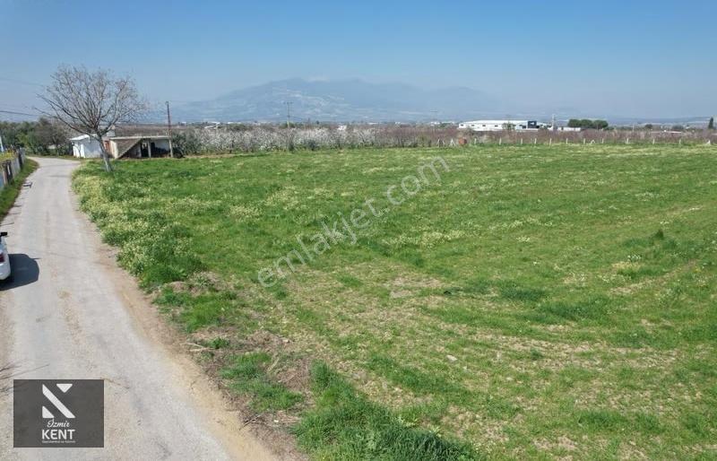 Kemalpaşa Ören 75. Yıl Satılık 8770 M2 Tek Tapu Tarla - Görsel 34