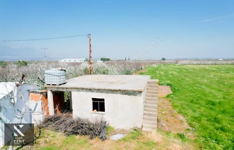 Kemalpaşa Ören 75. Yıl Satılık 8770 M2 Tek Tapu Tarla - Görsel 31