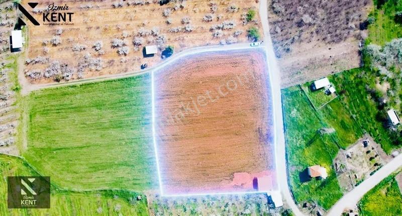 Kemalpaşa Ören 75. Yıl Satılık 8770 M2 Tek Tapu Tarla - Görsel 25