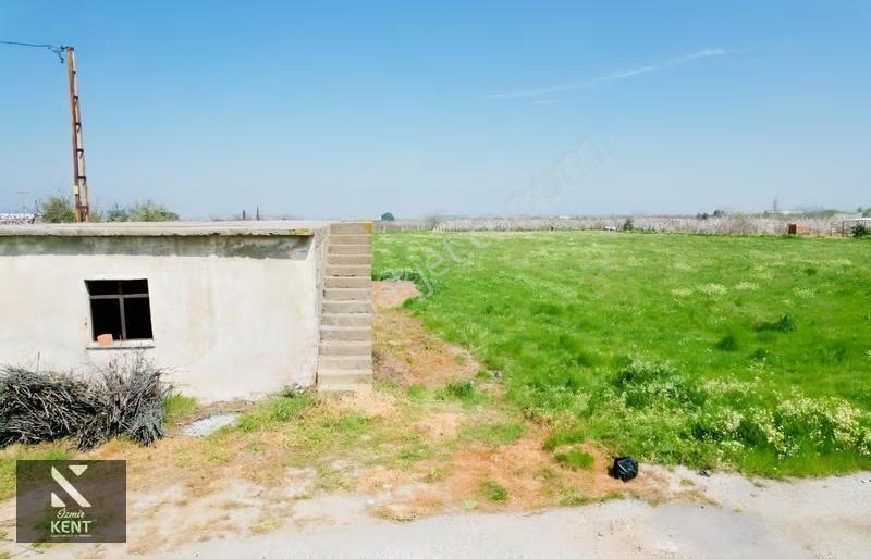 Kemalpaşa Ören 75. Yıl Satılık 8770 M2 Tek Tapu Tarla - Görsel 28
