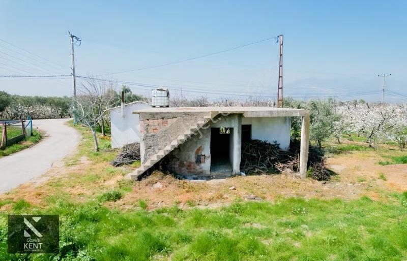 Kemalpaşa Ören 75. Yıl Satılık 8770 M2 Tek Tapu Tarla - Görsel 20