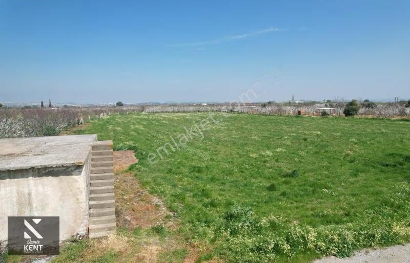 Kemalpaşa Ören 75. Yıl Satılık 8770 M2 Tek Tapu Tarla - Görsel 17