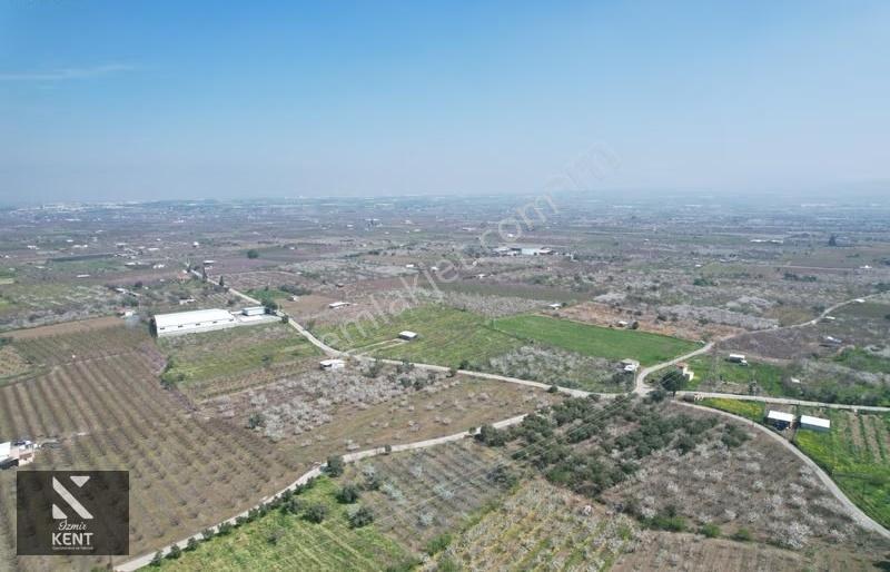 Kemalpaşa Ören 75. Yıl Satılık 8770 M2 Tek Tapu Tarla - Görsel 29