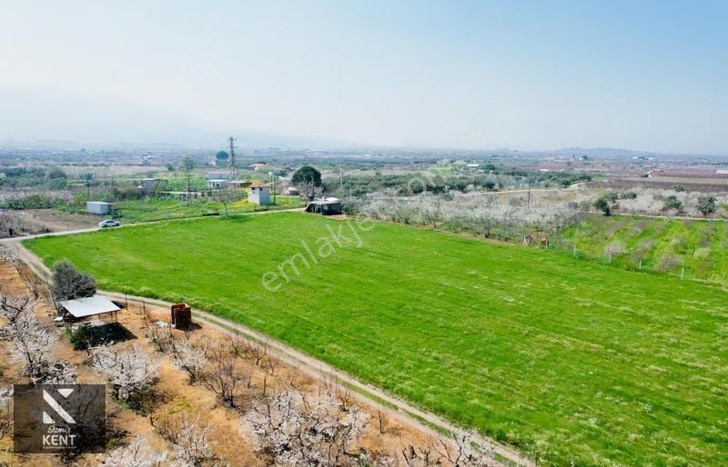 Kemalpaşa Ören 75. Yıl Satılık 8770 M2 Tek Tapu Tarla - Görsel 8