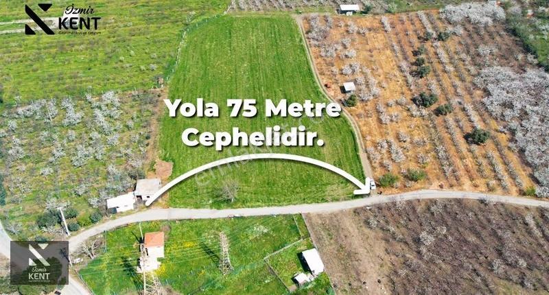 Kemalpaşa Ören 75. Yıl Satılık 8770 M2 Tek Tapu Tarla - Görsel 2
