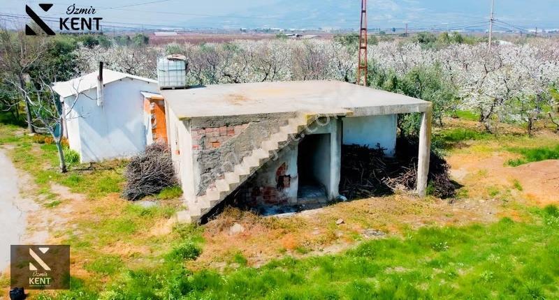 Kemalpaşa Ören 75. Yıl Satılık 8770 M2 Tek Tapu Tarla - Görsel 22