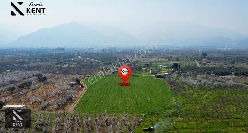 Kemalpaşa Ören 75. Yıl Satılık 8770 M2 Tek Tapu Tarla - Görsel 16
