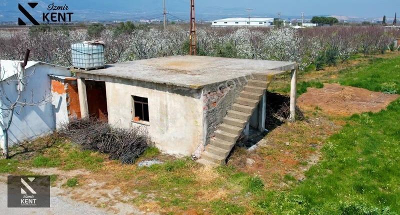 Kemalpaşa Ören 75. Yıl Satılık 8770 M2 Tek Tapu Tarla - Görsel 5