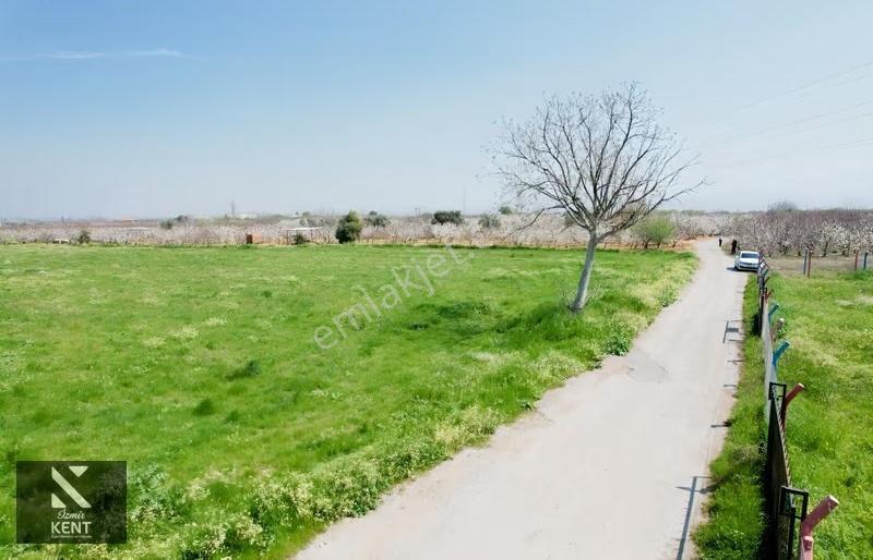 Kemalpaşa Ören 75. Yıl Satılık 8770 M2 Tek Tapu Tarla - Görsel 32