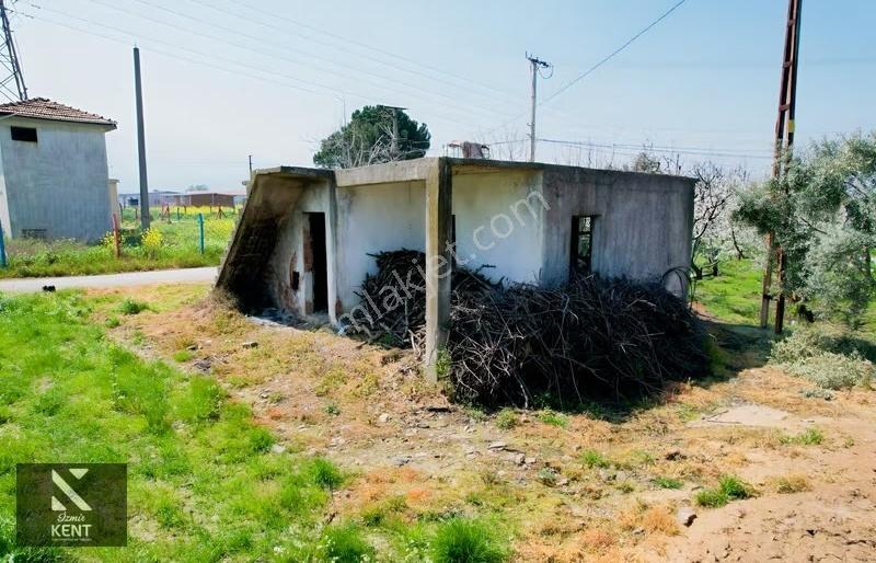 Kemalpaşa Ören 75. Yıl Satılık 8770 M2 Tek Tapu Tarla - Görsel 9