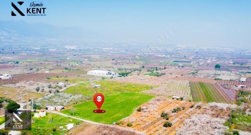 Kemalpaşa Ören 75. Yıl Satılık 8770 M2 Tek Tapu Tarla - Görsel 18