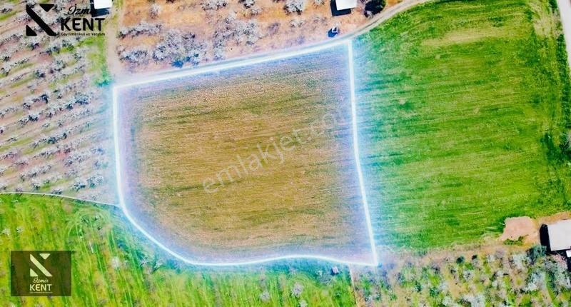 Kemalpaşa Ören 75. Yıl Satılık 8770 M2 Tek Tapu Tarla - Görsel 10