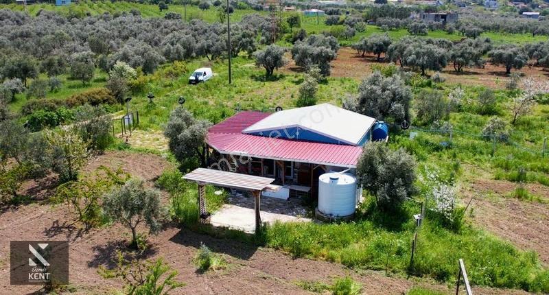 Kemalpaşa Halilbeylide Satılık 3000 M2 Bahçe 40 M2 Ev - Görsel 12