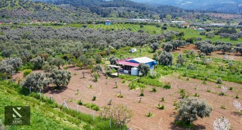 Kemalpaşa Halilbeylide Satılık 3000 M2 Bahçe 40 M2 Ev - Görsel 23