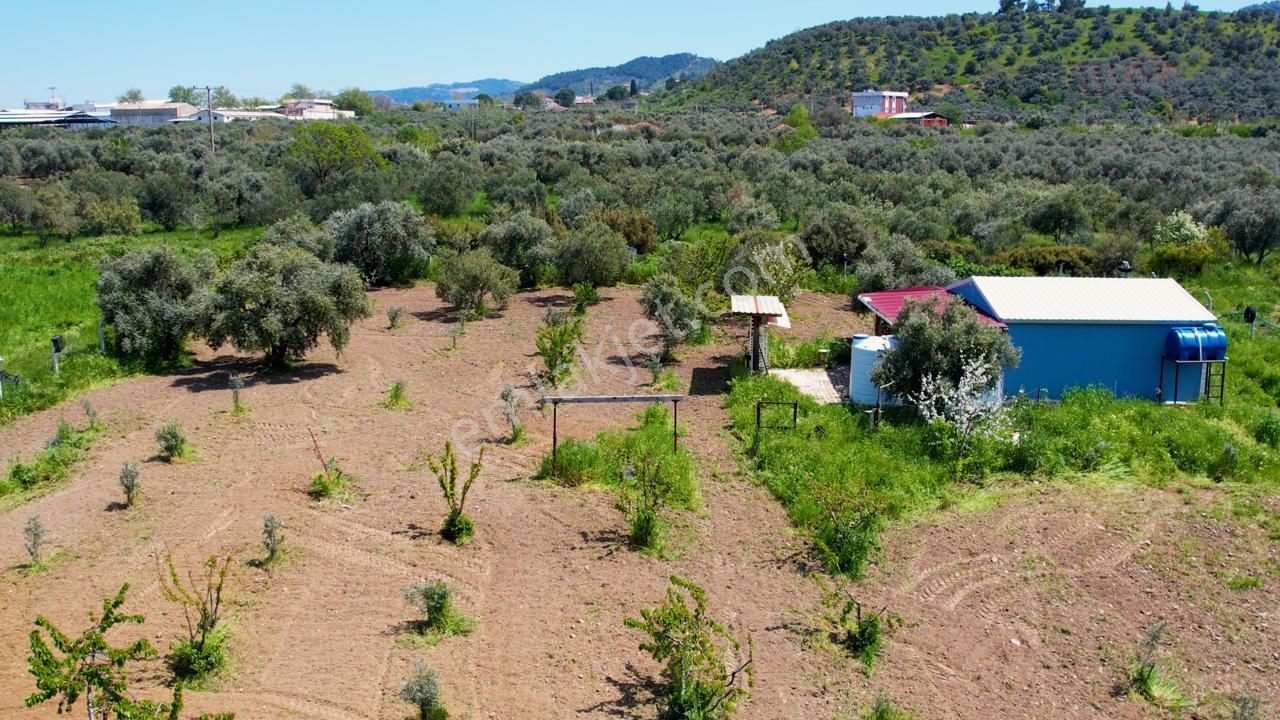 Kemalpaşa Halilbeylide Satılık 3000 M2 Bahçe 40 M2 Ev - Görsel 10