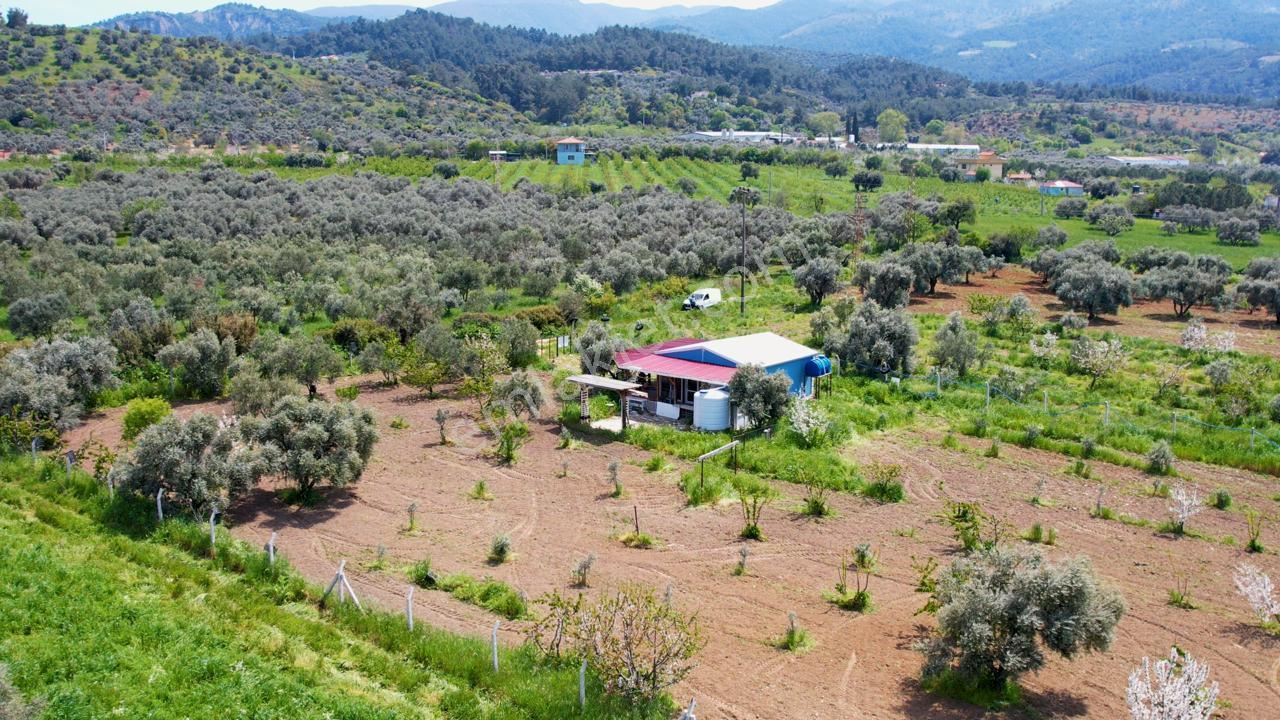 Kemalpaşa Halilbeylide Satılık 3000 M2 Bahçe 40 M2 Ev - Görsel 9