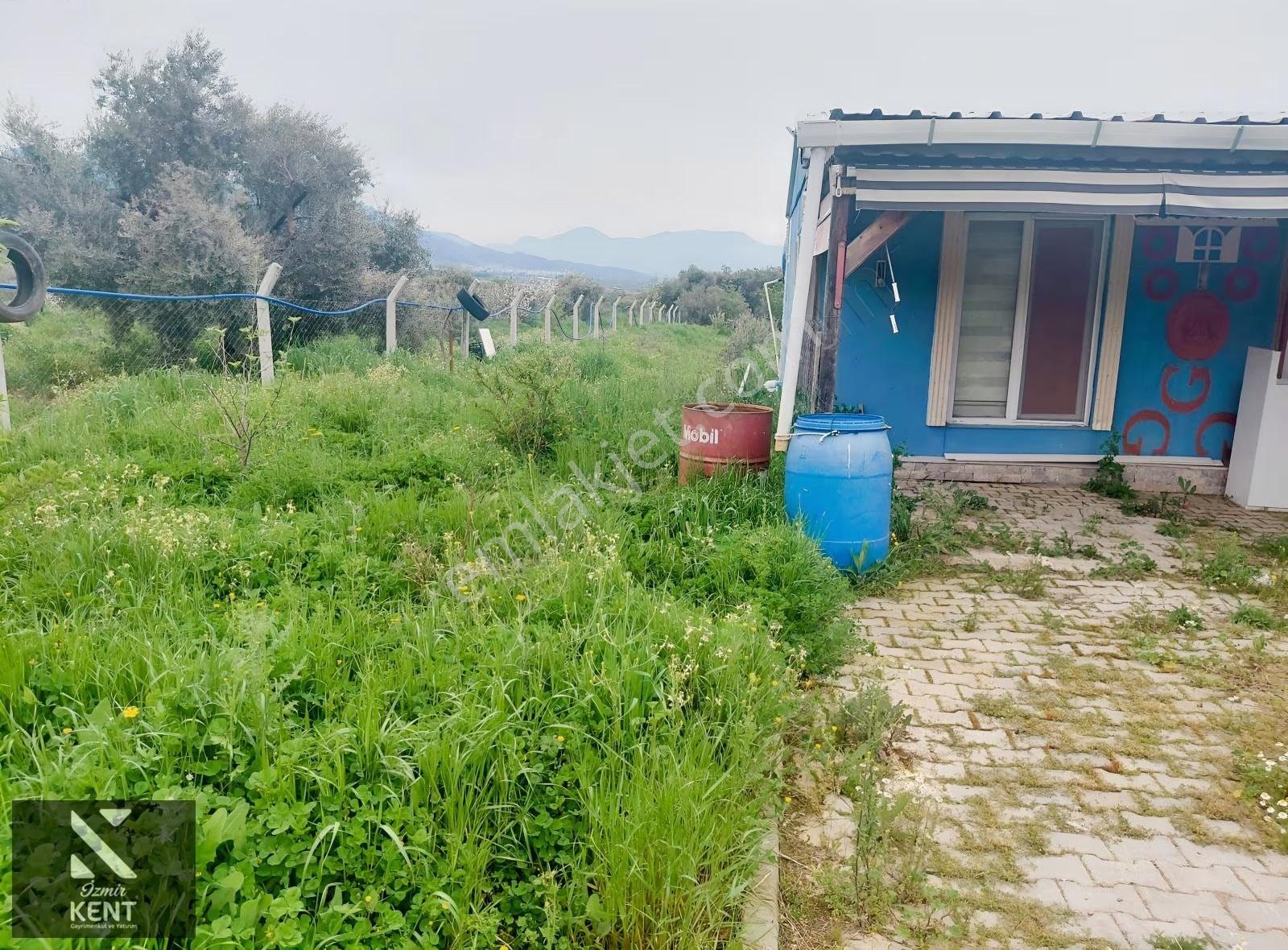 Kemalpaşa Halilbeylide Satılık 3000 M2 Bahçe 40 M2 Ev - Görsel 19