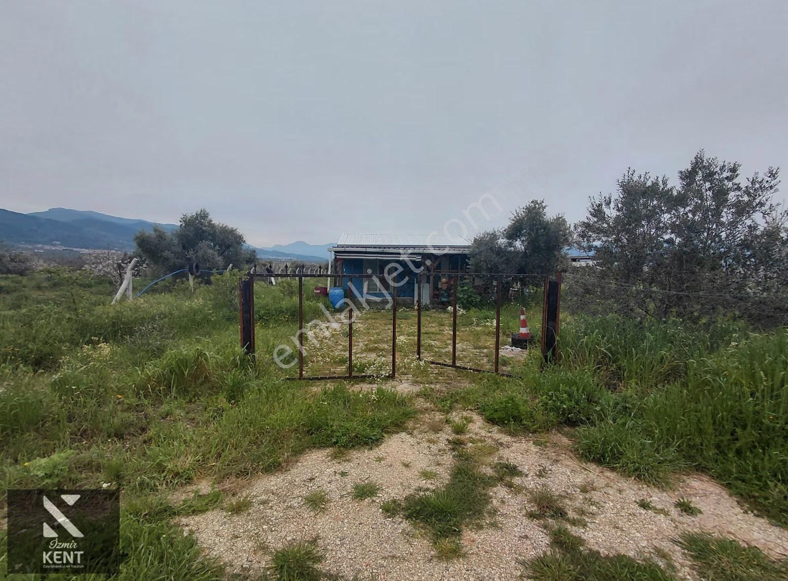 Kemalpaşa Halilbeylide Satılık 3000 M2 Bahçe 40 M2 Ev - Görsel 26