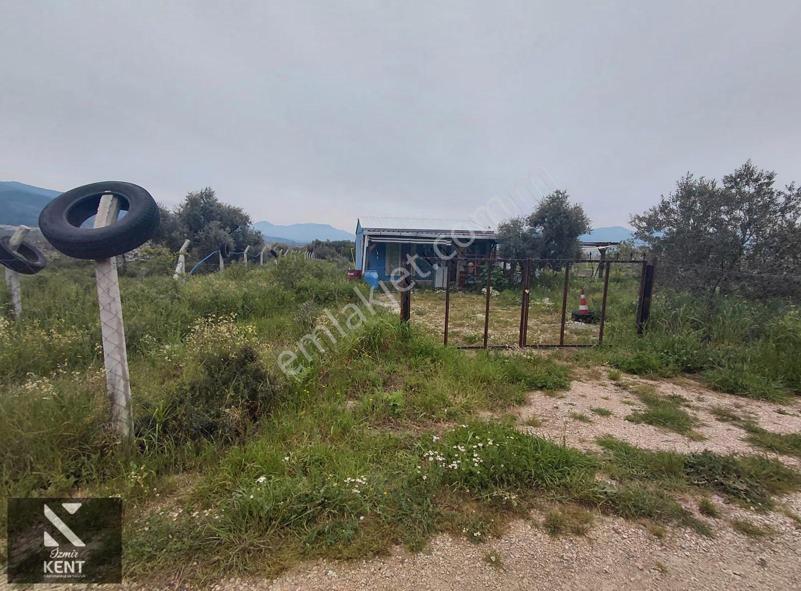 Kemalpaşa Halilbeylide Satılık 3000 M2 Bahçe 40 M2 Ev - Görsel 29