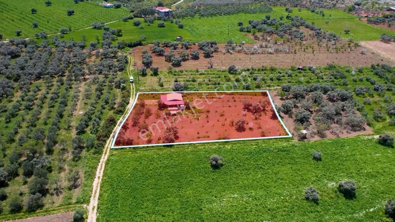 Kemalpaşa Halilbeylide Satılık 3000 M2 Bahçe 40 M2 Ev - Görsel 3