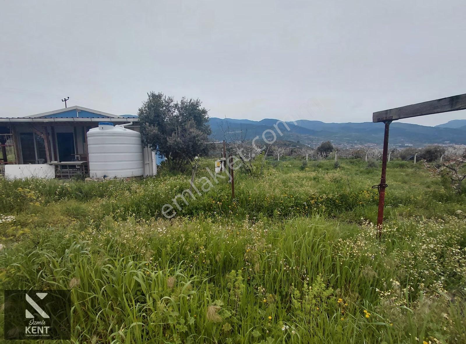 Kemalpaşa Halilbeylide Satılık 3000 M2 Bahçe 40 M2 Ev - Görsel 20