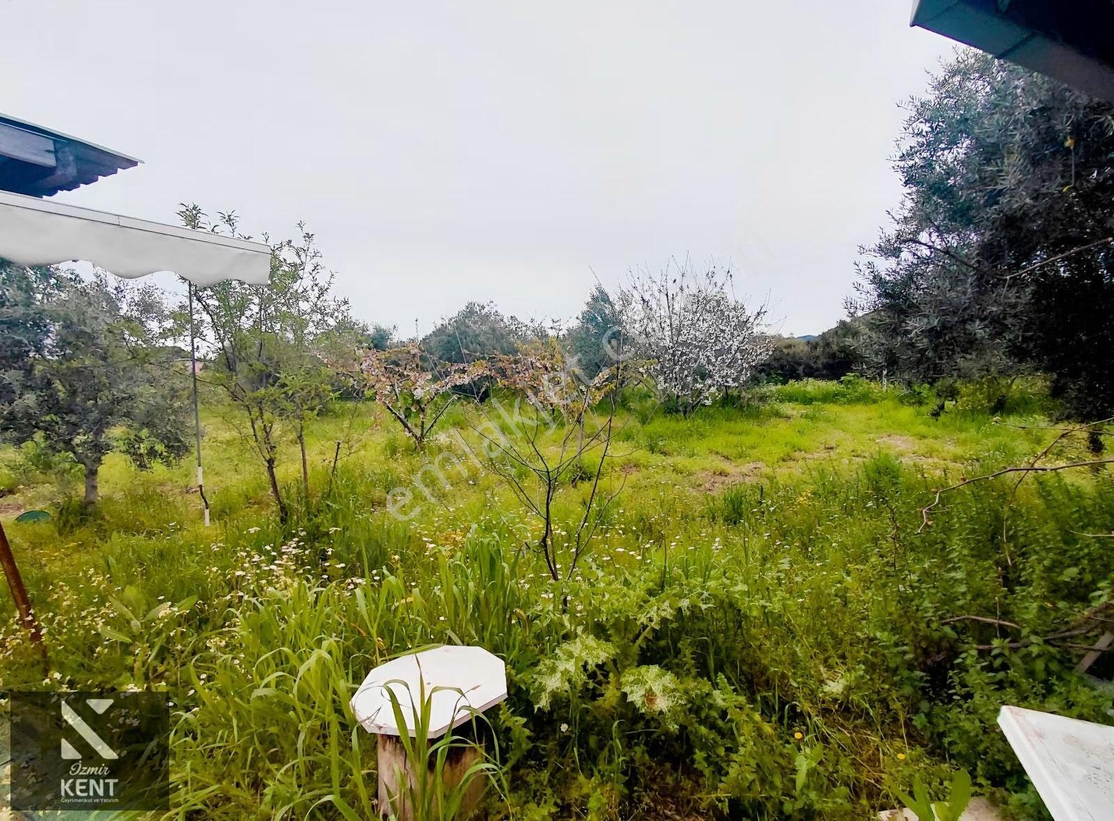 Kemalpaşa Halilbeylide Satılık 3000 M2 Bahçe 40 M2 Ev - Görsel 21