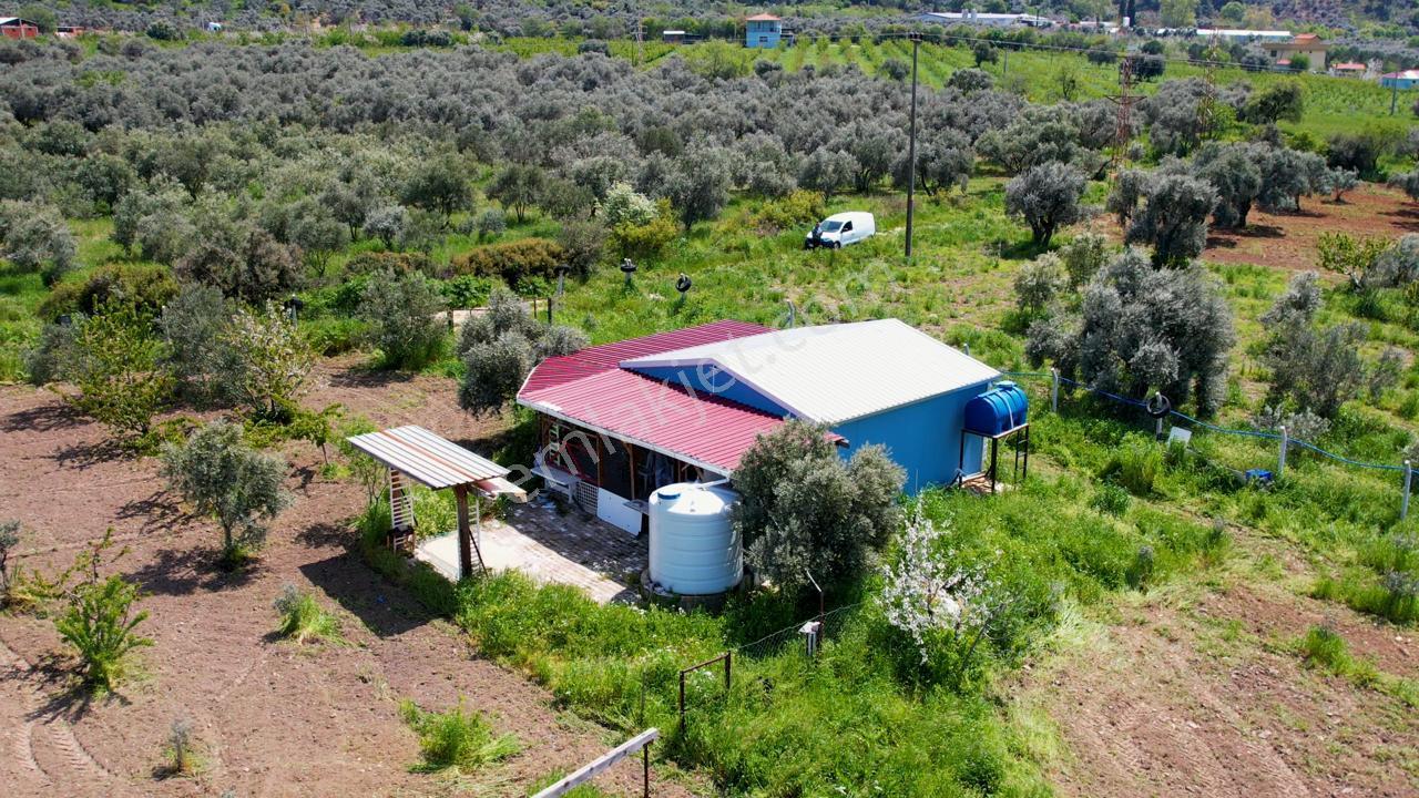 Kemalpaşa Halilbeylide Satılık 3000 M2 Bahçe 40 M2 Ev - Görsel 6
