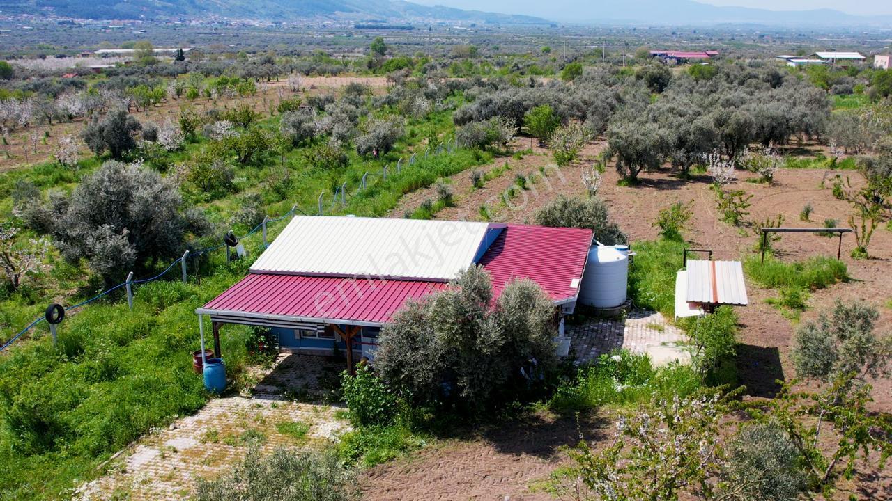 Kemalpaşa Halilbeylide Satılık 3000 M2 Bahçe 40 M2 Ev - Görsel 4