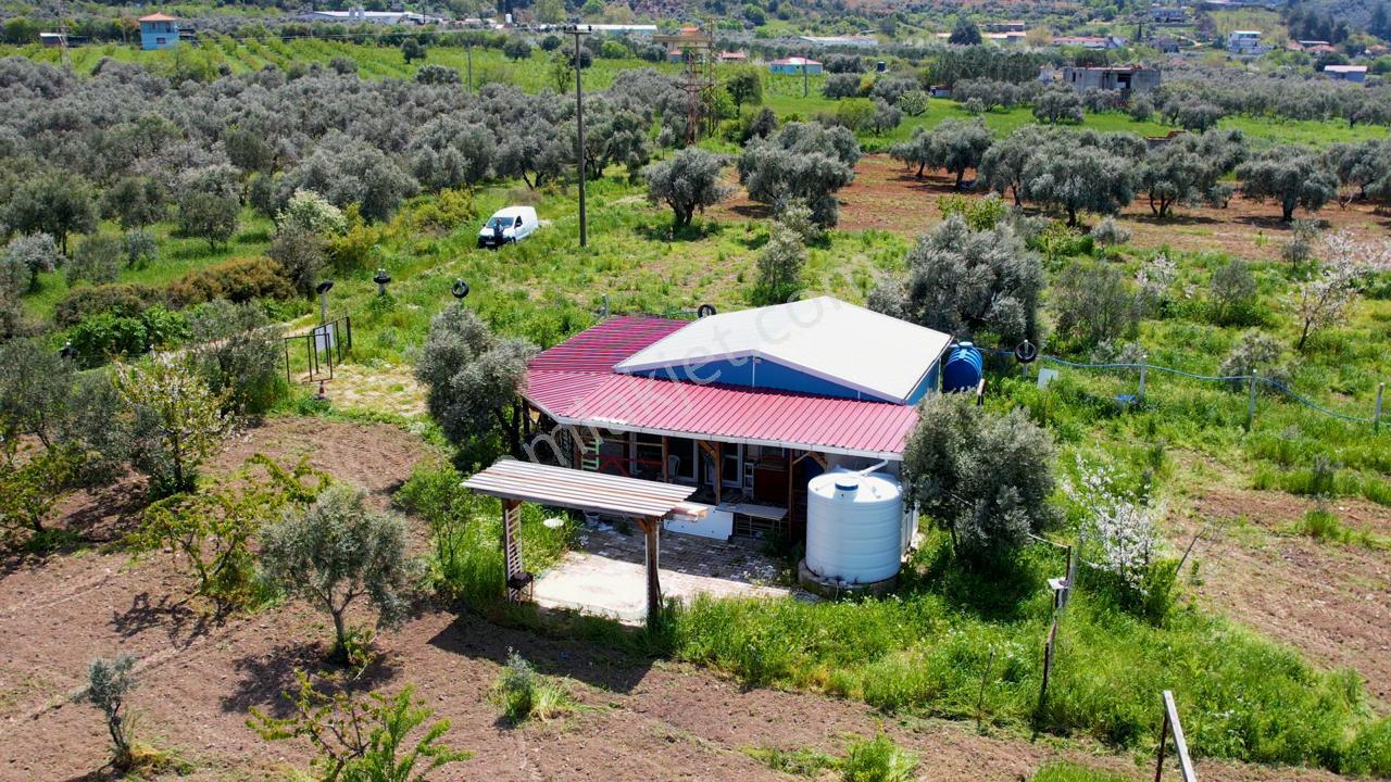 Kemalpaşa Halilbeylide Satılık 3000 M2 Bahçe 40 M2 Ev - Görsel 5