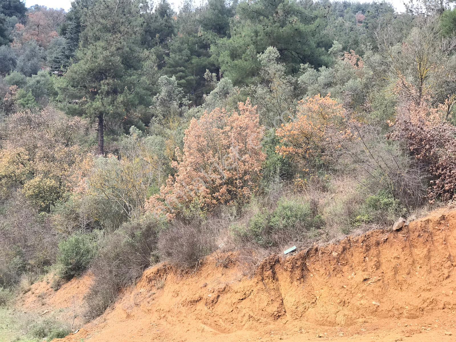 Osmangazi Demirtaş'ta Şehir Manzaralı, Villa İmarlı Satılık Arsa - Görsel 13
