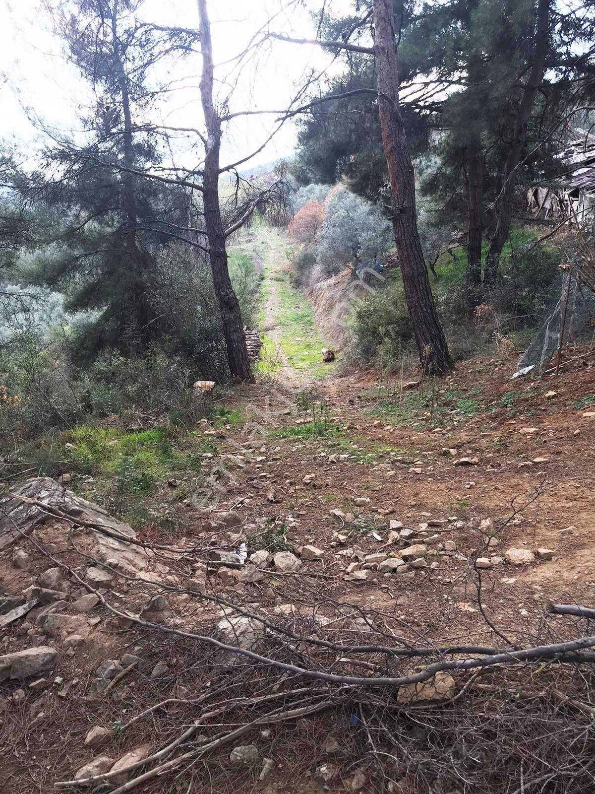 Osmangazi Demirtaş'ta Şehir Manzaralı, Villa İmarlı Satılık Arsa - Görsel 19