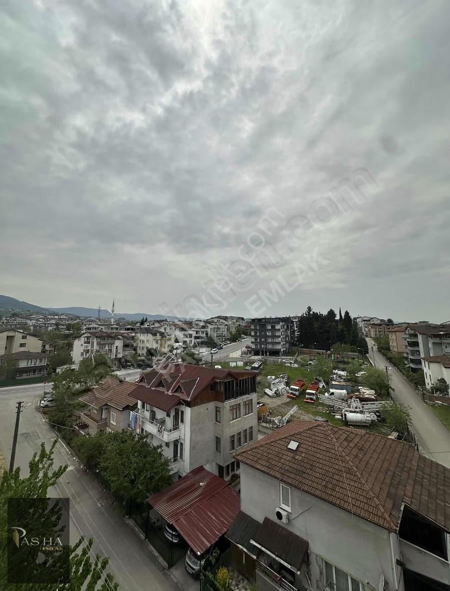 Ful Deniz Ve Doğa Manzaralı - Görsel 10